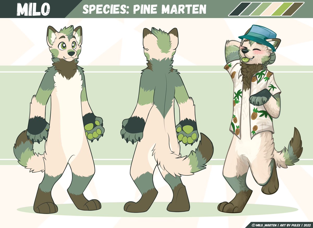 Ref sheet of Milo, the Pine Marten